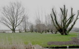 Drecht_-_Vriezekoop.jpg