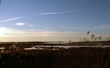 Lauwersmeer